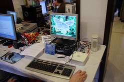 MorphOS Mac Mini MorphOS Mac Mini